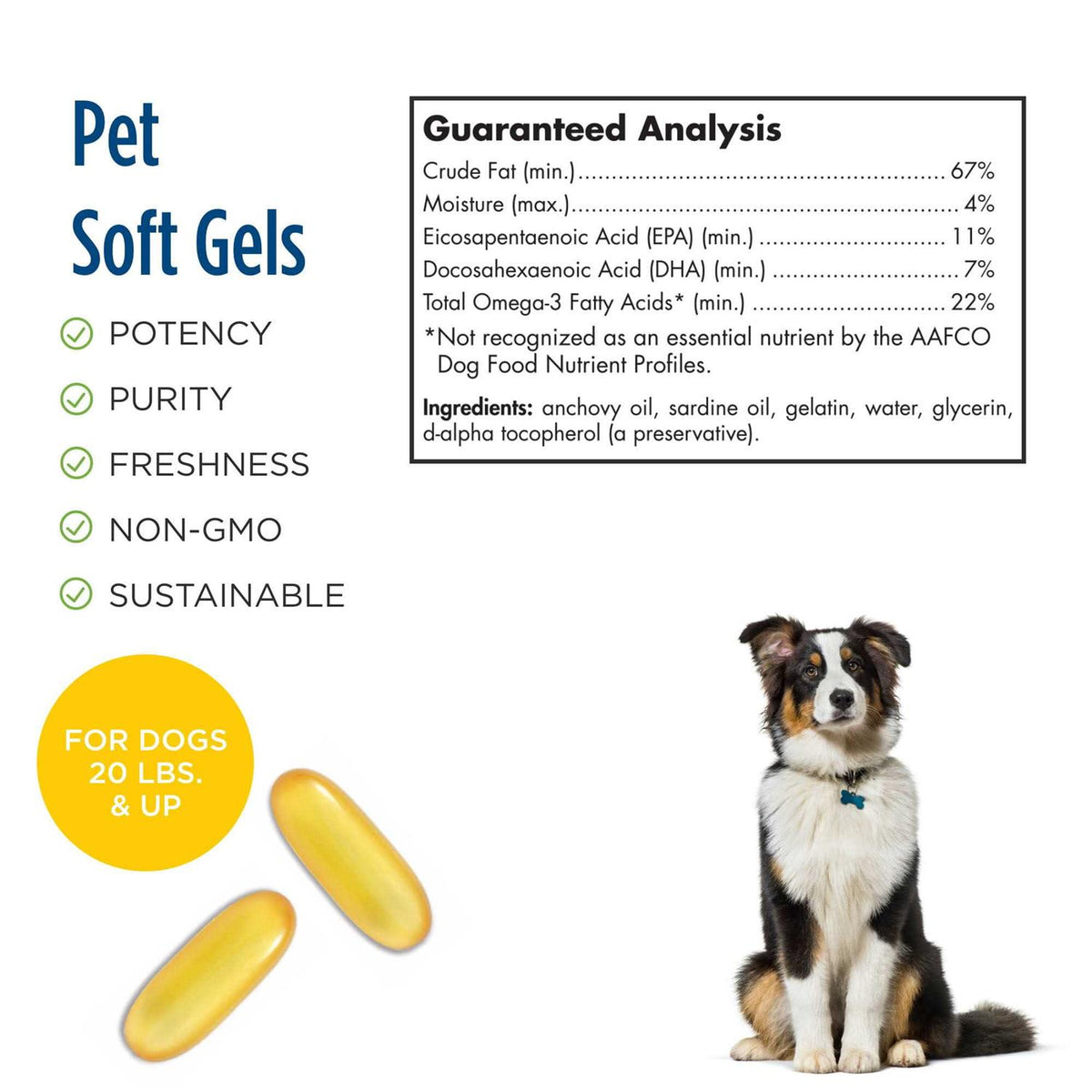 Omega 3 Pet V147256