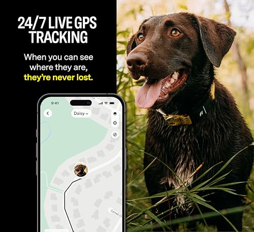Pink Waterproof GPS Dog Collar with LED Light I4489