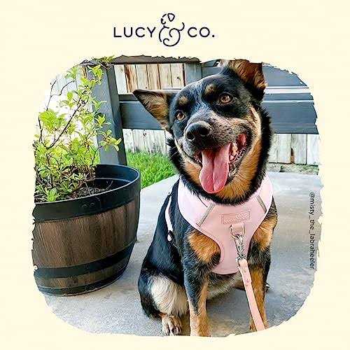 Neoprene Dog Harness S99491