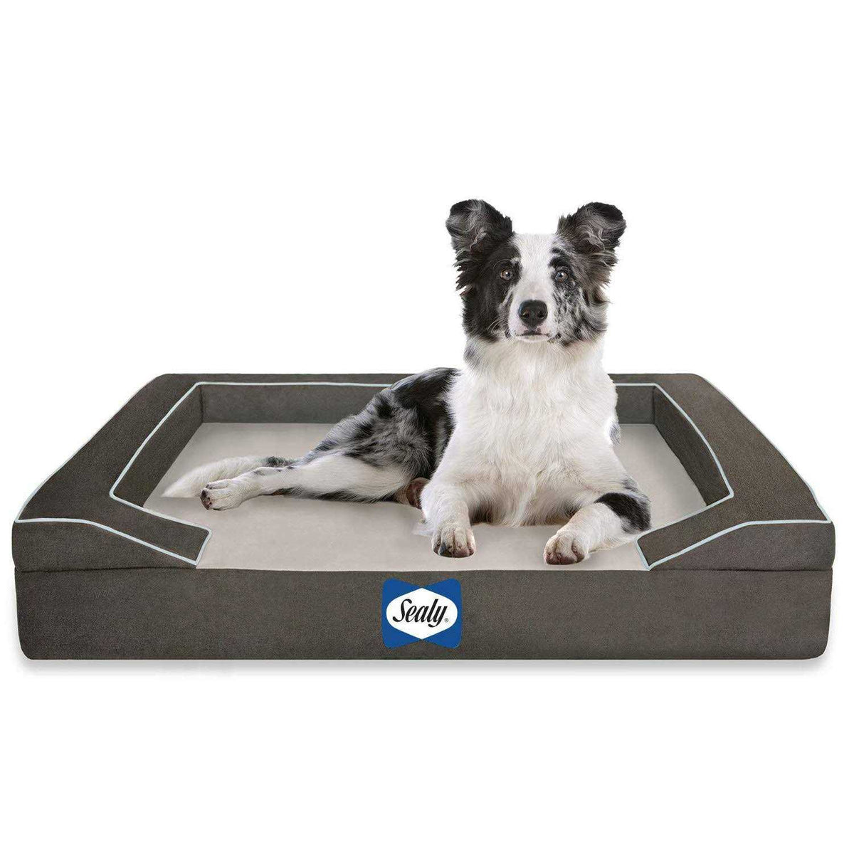 Memory Foam Dog Bed V127297