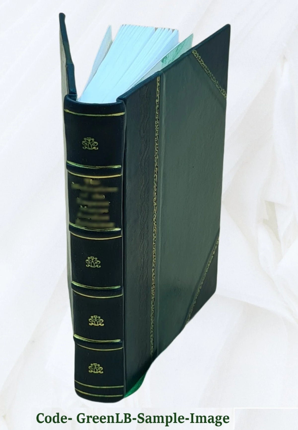 Law of Property First Book for Students Z774