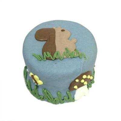 Shelf Stable Birthday Cake D9397