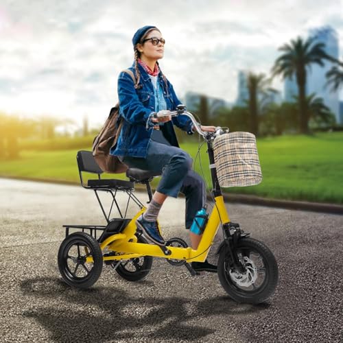 14 Inch Folding Adult Electric Tricycle with Detachable Battery S30604