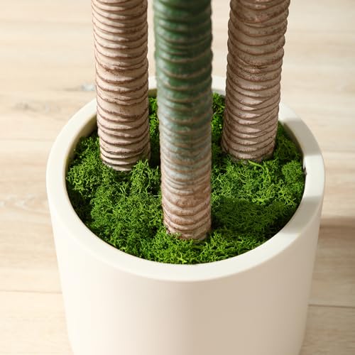 5ft Artificial Dracaena Tree with White Planter M84326
