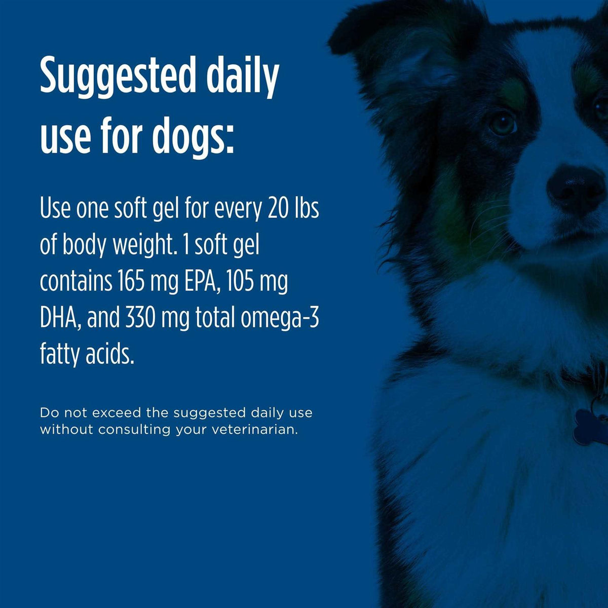 Omega 3 Pet V147256
