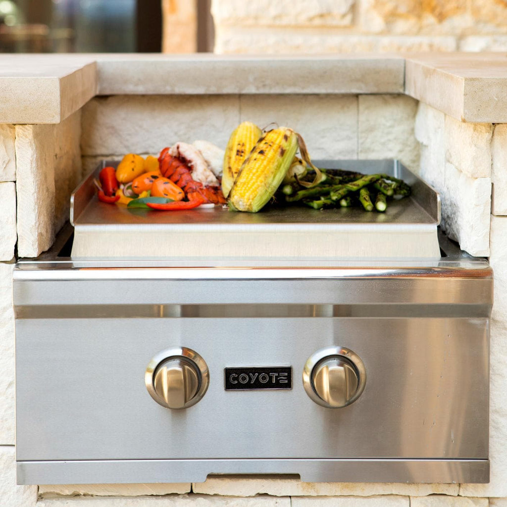 Built-In Propane Gas Power Burner G484
