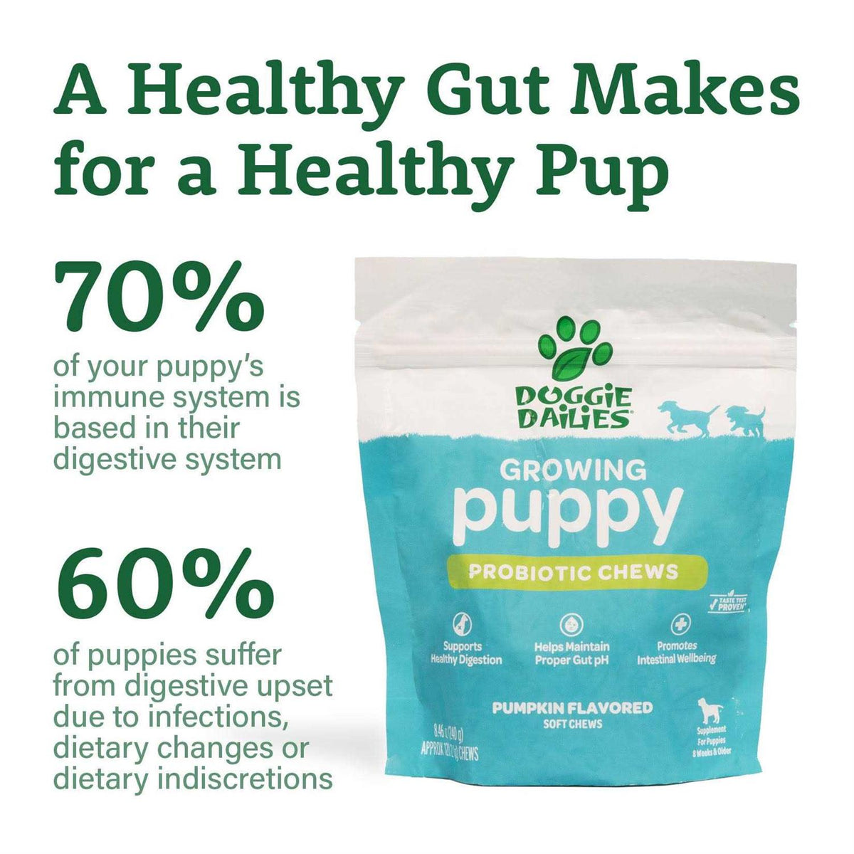 Puppy Probiotic with Digestive Enzymes Z958