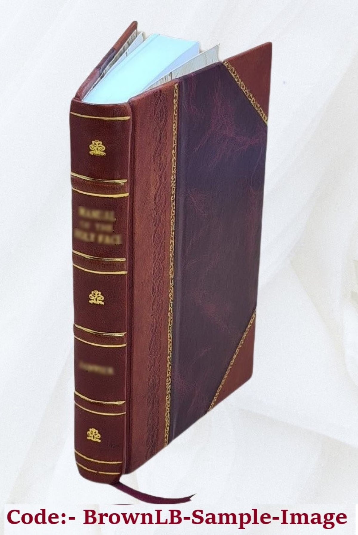 Leather Bound Book Q82049