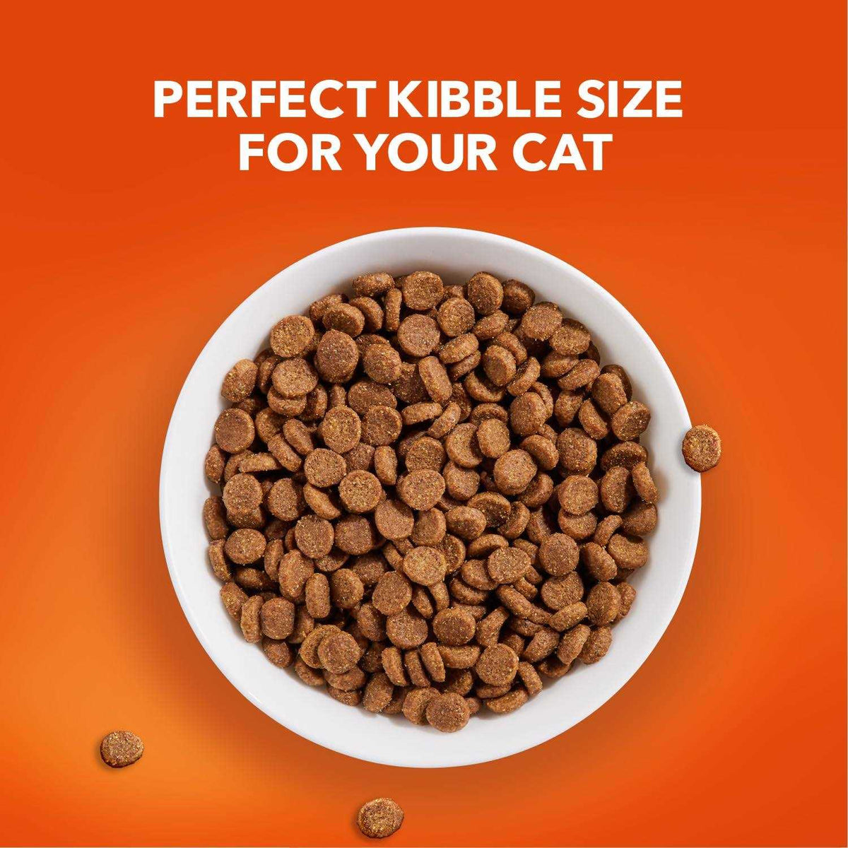 Senior Dry Cat Food I267