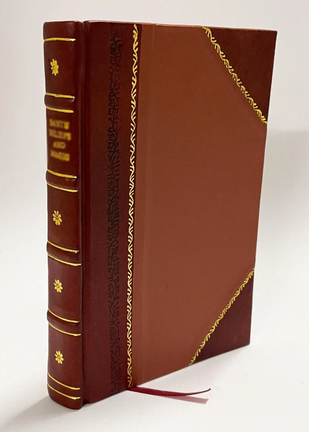 Leather Bound Book F560500