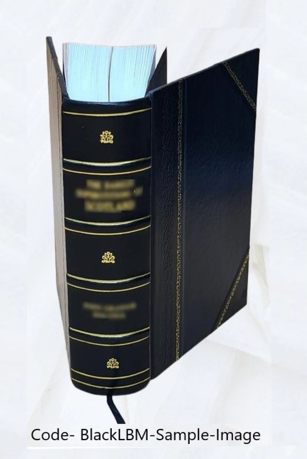 Roma trionfante Leather Bound E869809