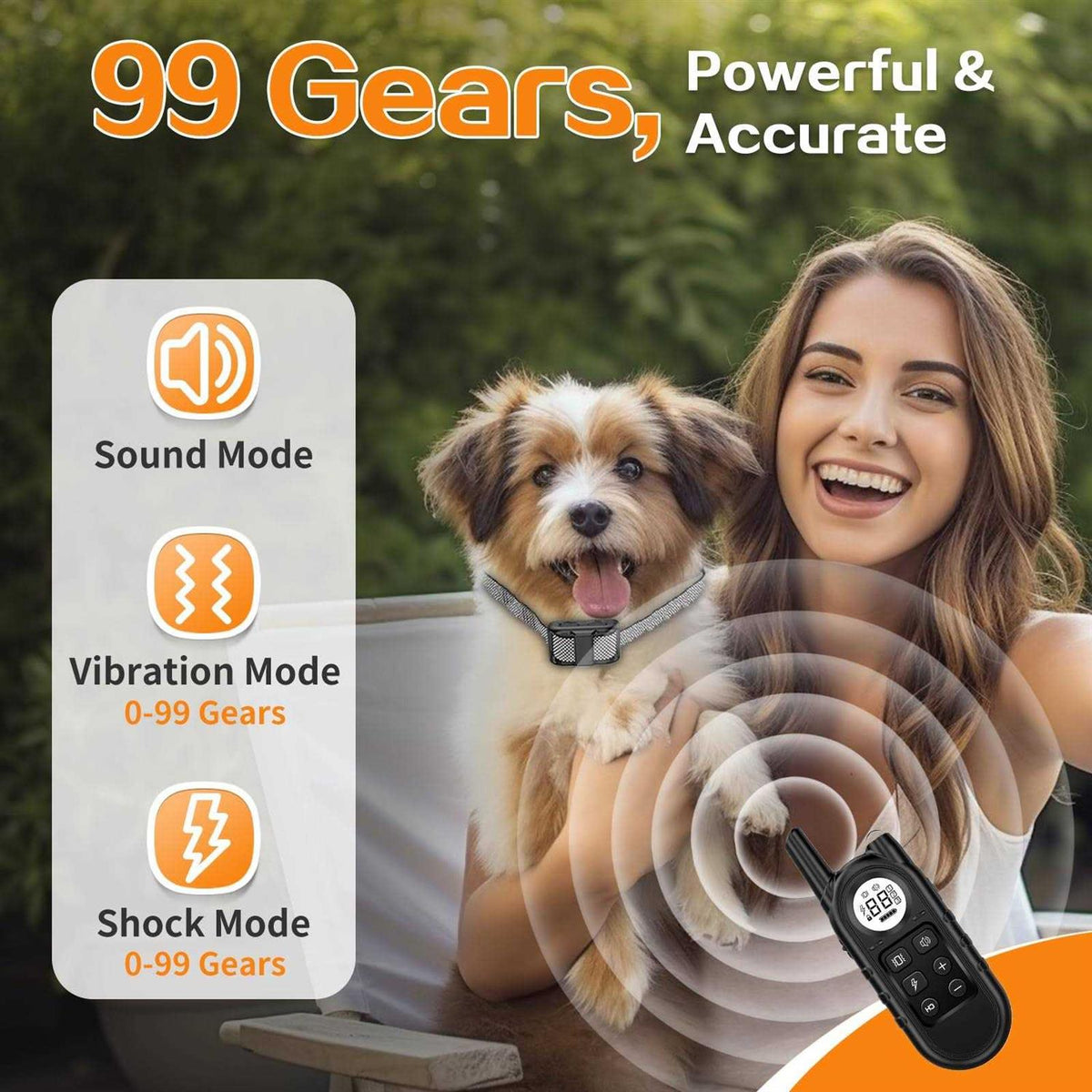 Lightest Dog Training Collar with Remote K681978