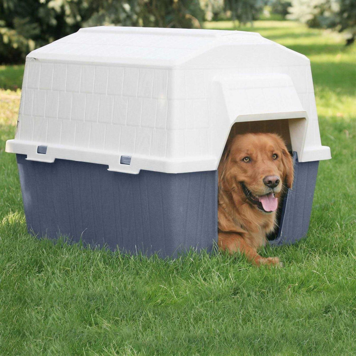 Pet Supplies K146638