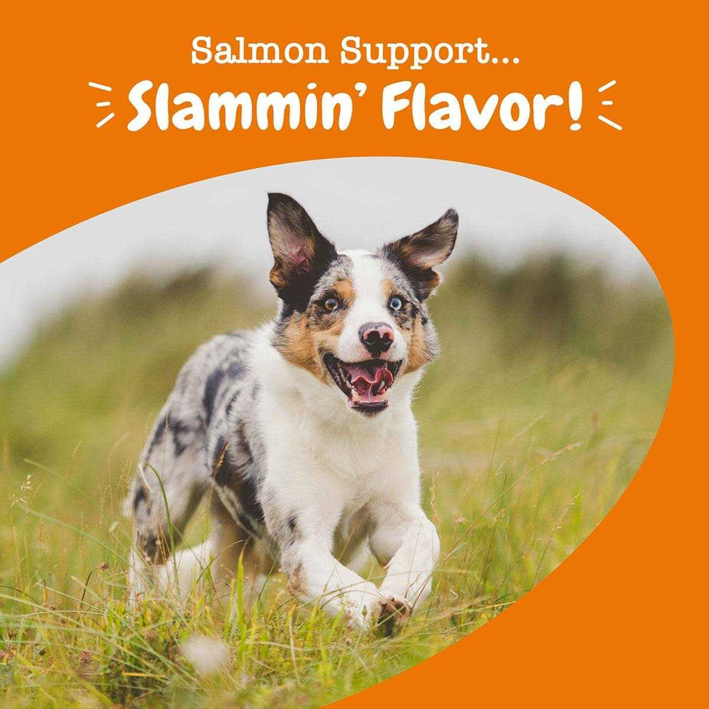 Salmon Bites for Dogs Skin & Coat K4846