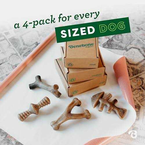 Holiday 4 Pack Dog Chew Toy Y781