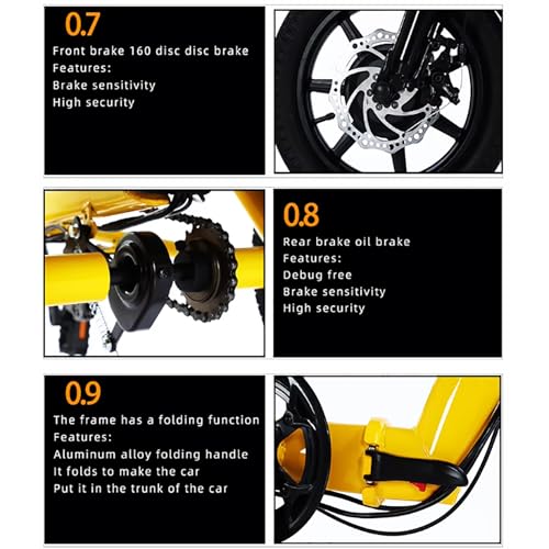 14 Inch Folding Adult Electric Tricycle with Detachable Battery S30604