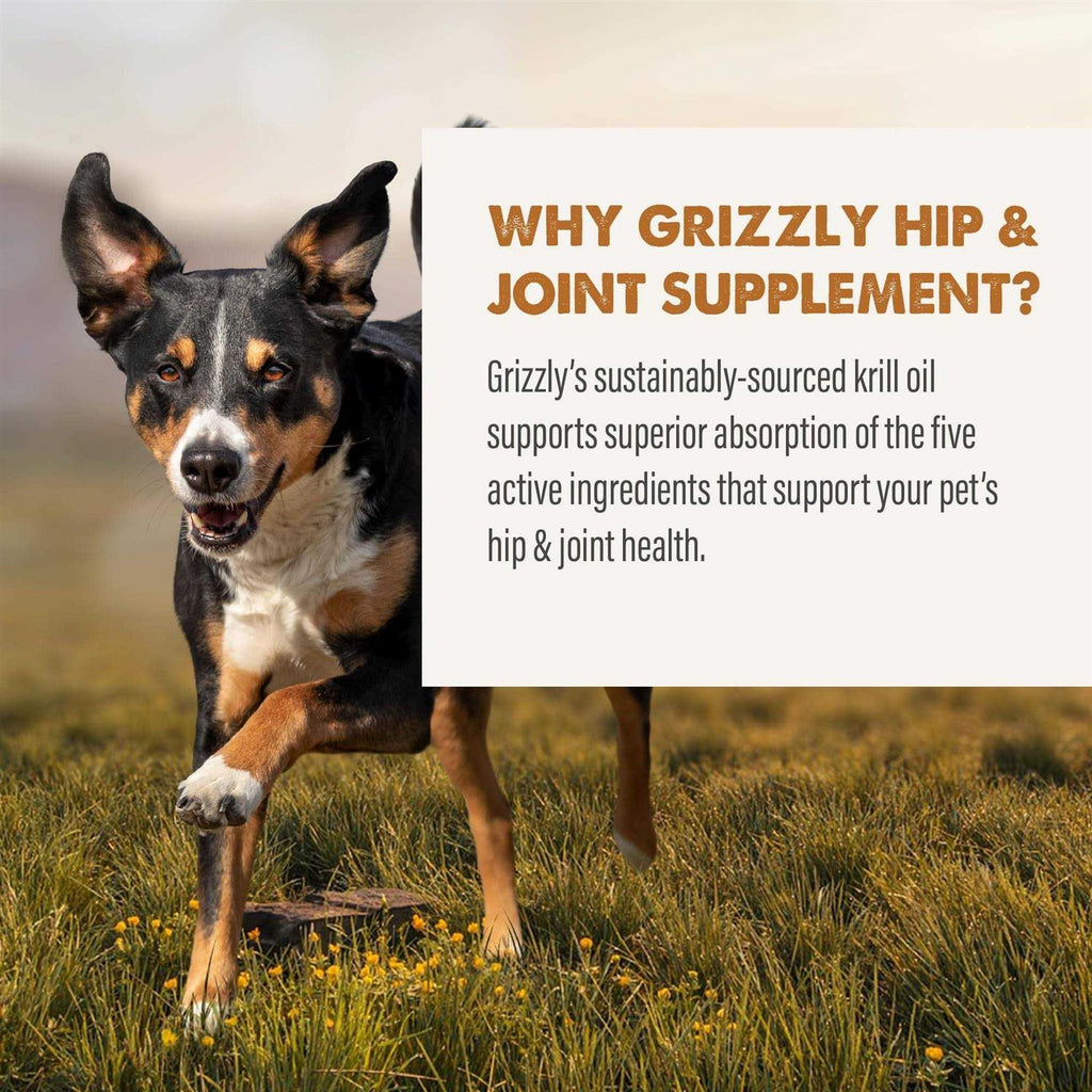 Joint Aid Liquid for Dogs G2234