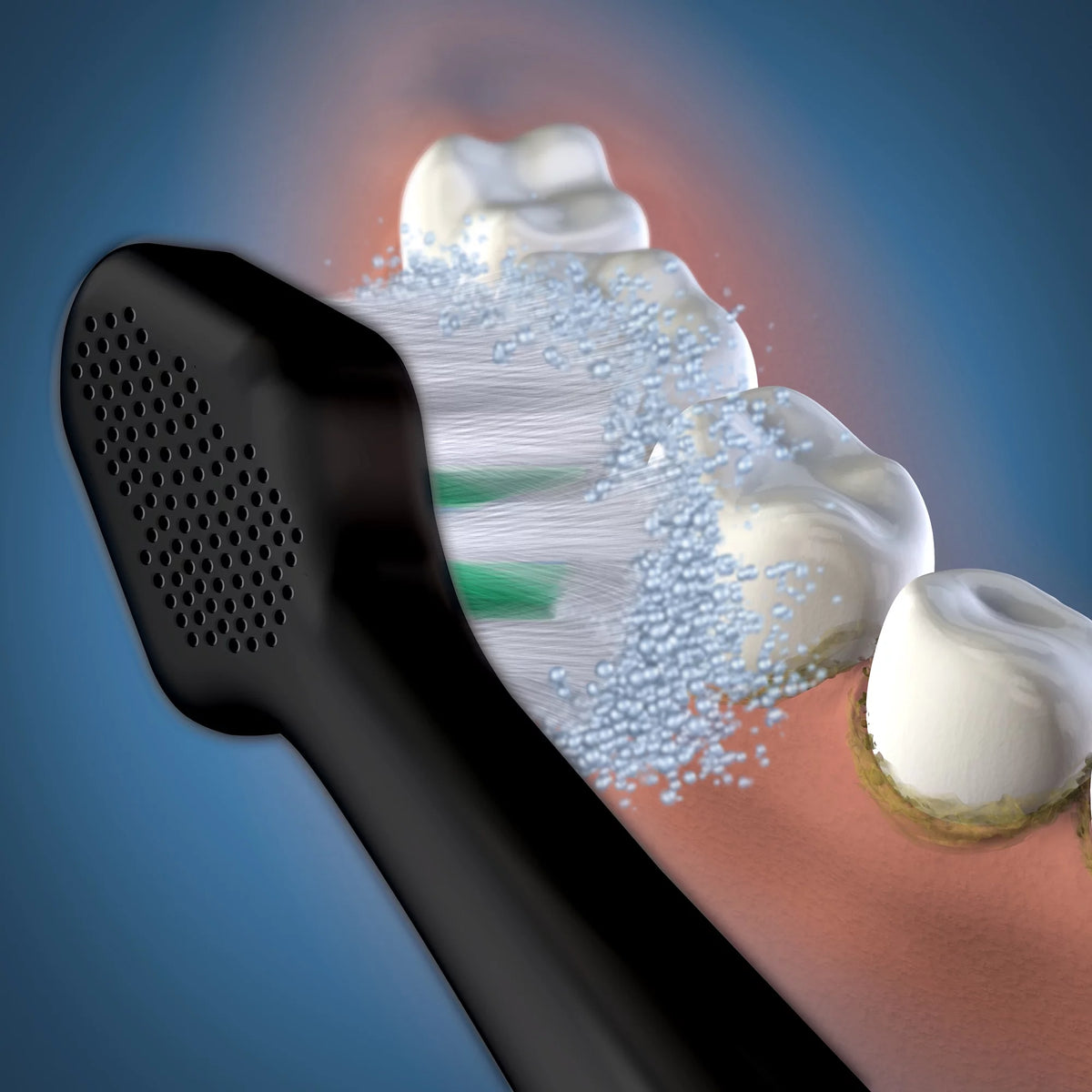 Black Triple Sonic Replacement Brush Heads, 3 Count S277