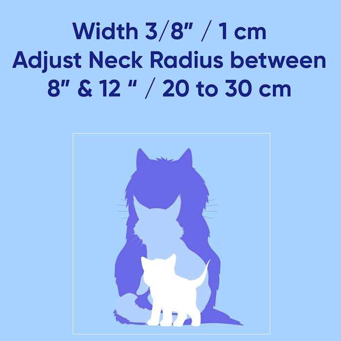 Cat Collar with Safety Buckle and Removable Bell X853495