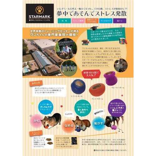Bacon Dog Treats H966