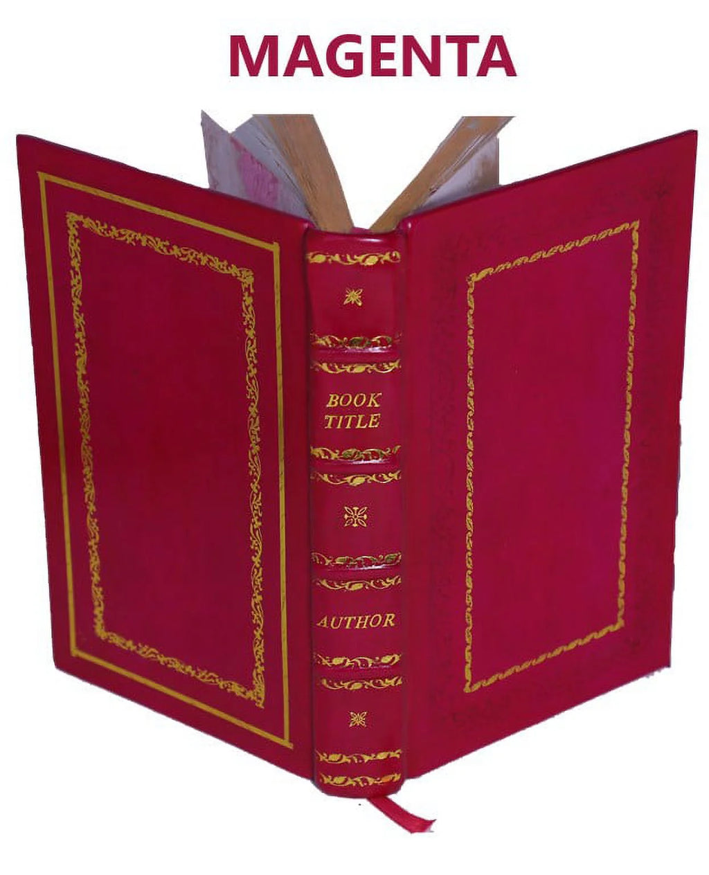 Premium Leather Bound C331