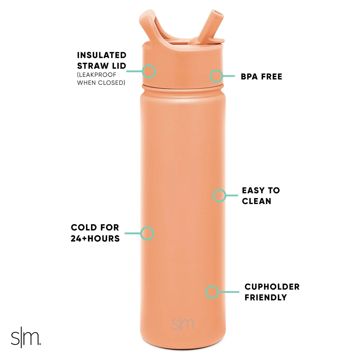 22oz Vacuum Insulated Stainless Steel Water Bottle with Straw Lid Y971