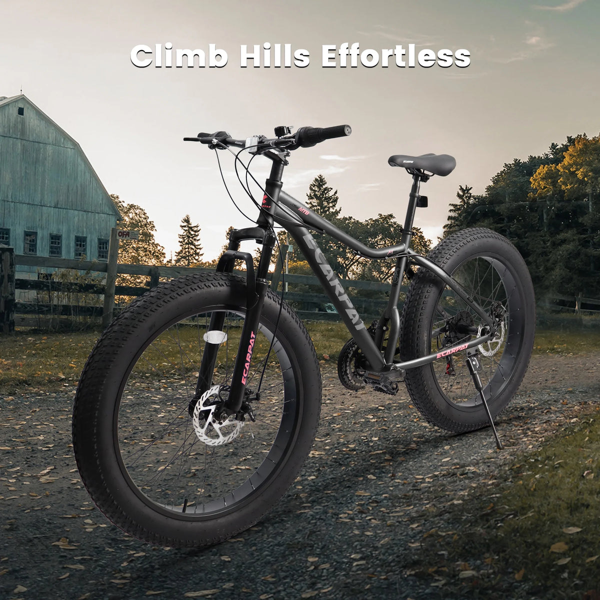 26 inch Fat Tires 21 Speeds Dual Disc Brake Mountain Bike U826