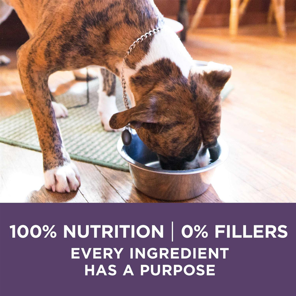 Adult Dry Dog Food R15923
