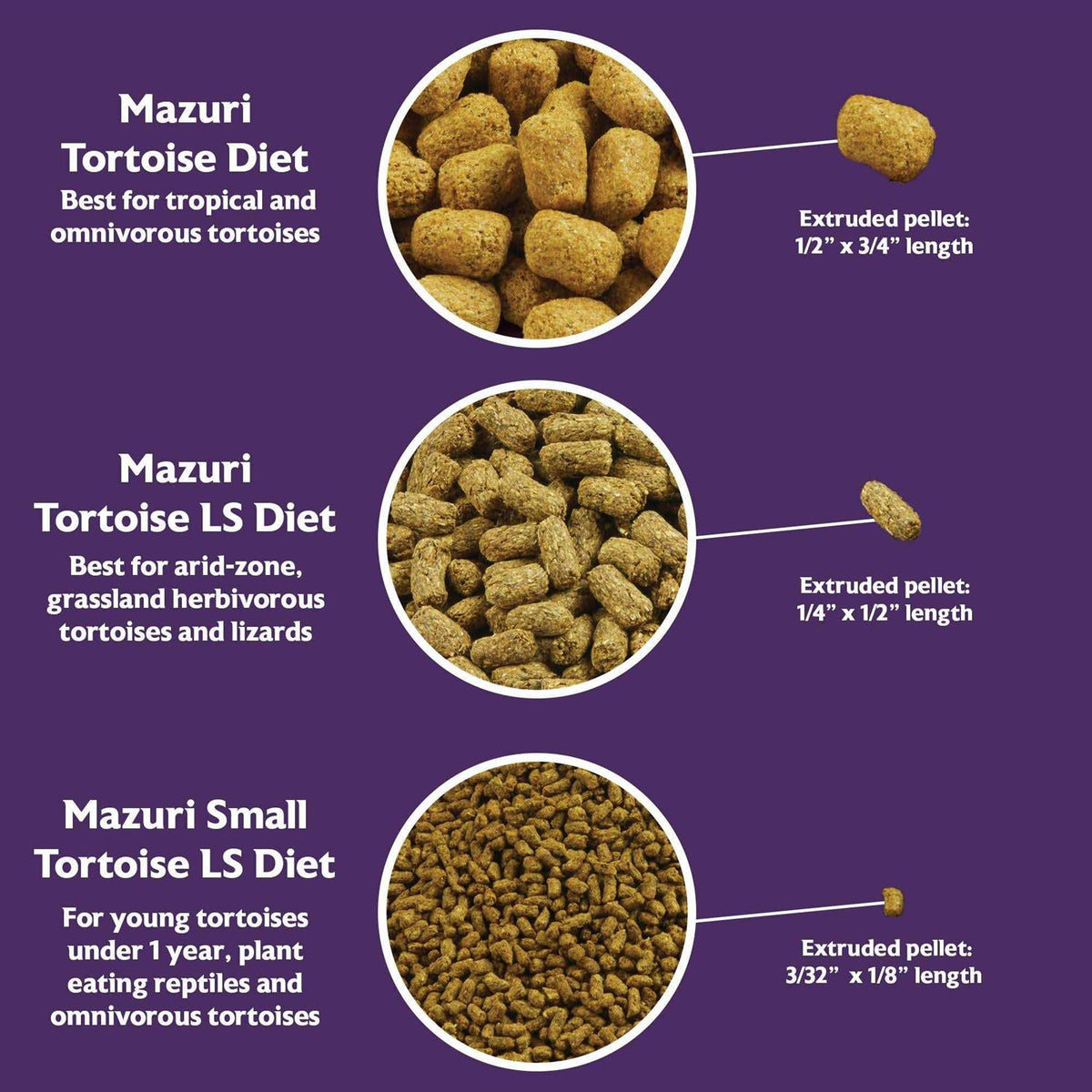 Small Tortoise Diet Food Q782574