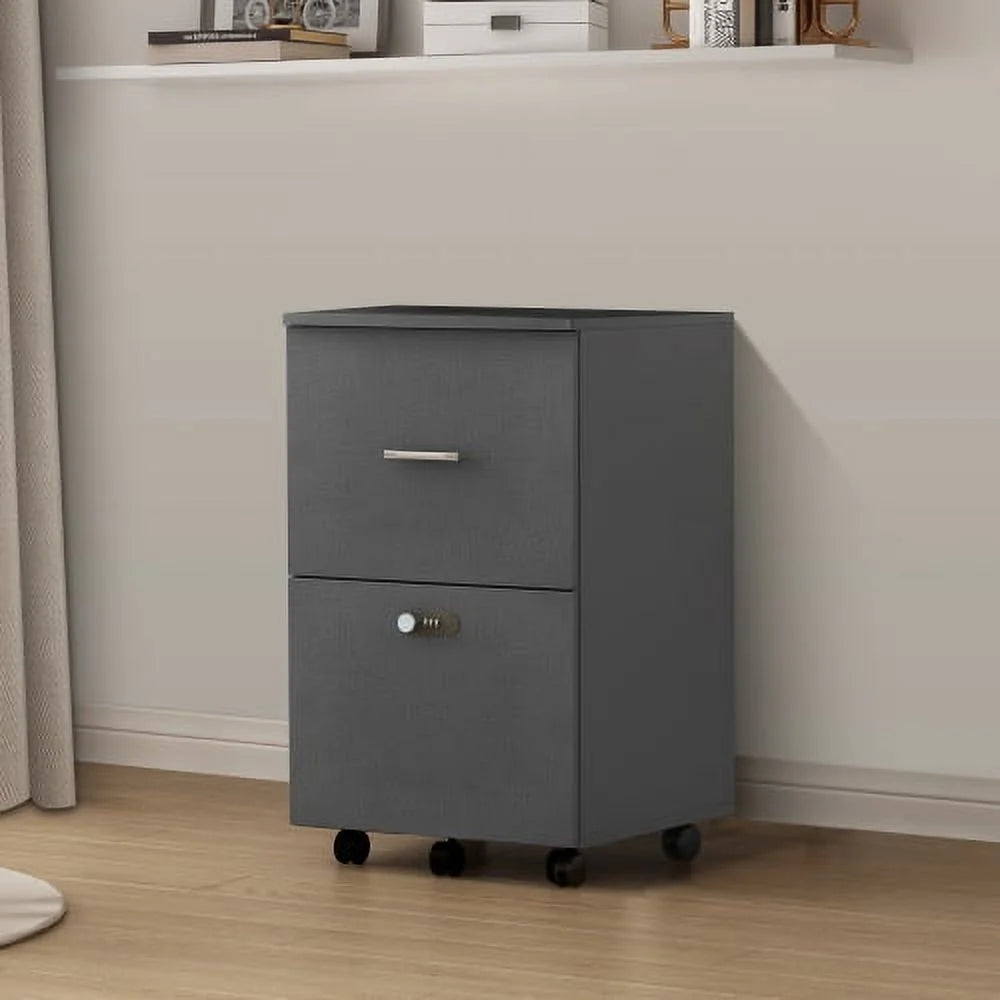 Dark Gray 2 Drawer Rolling File Cabinet H320288