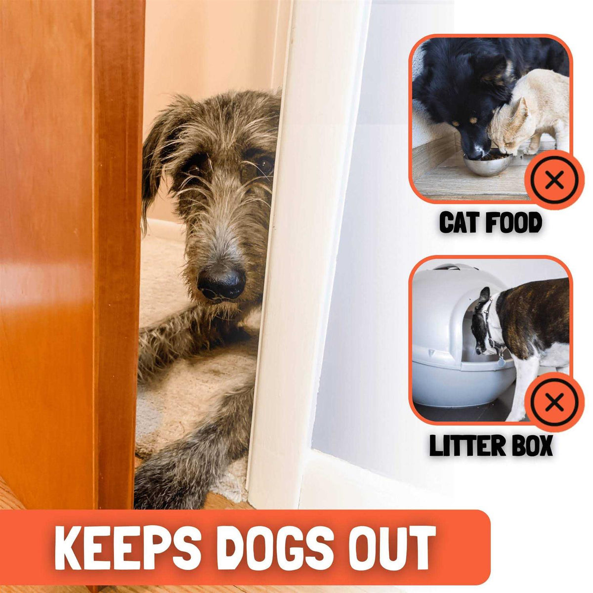 Cat Door Prop C958787