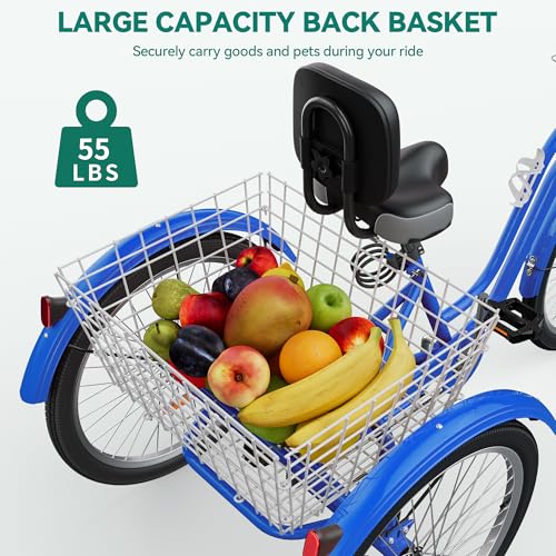 24 & 26 Inch 3-Wheel Adult Tricycle with Front and Rear Baskets Y7212