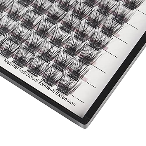 10-12-14-16mm MIX D Curl Lash Clusters Individual Lashes R25831