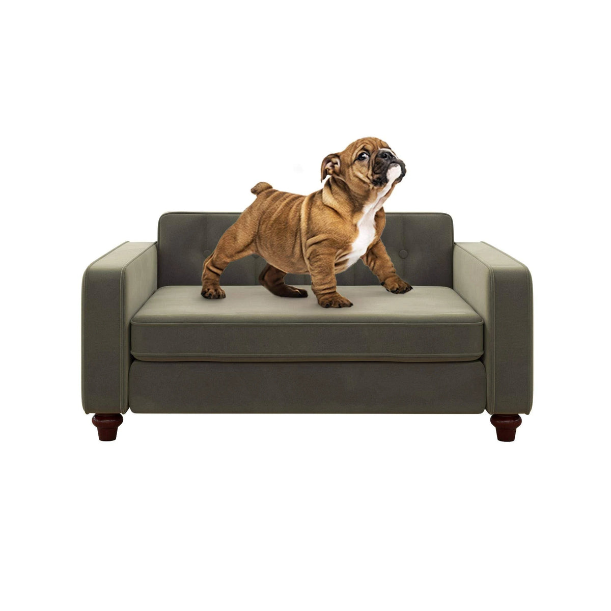 Gray Velvet Pet Sofa X6662