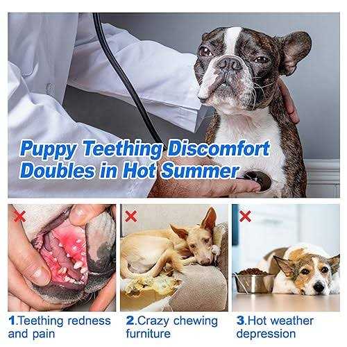 Frozen 3 Pack Puppy Chew Toys G691208