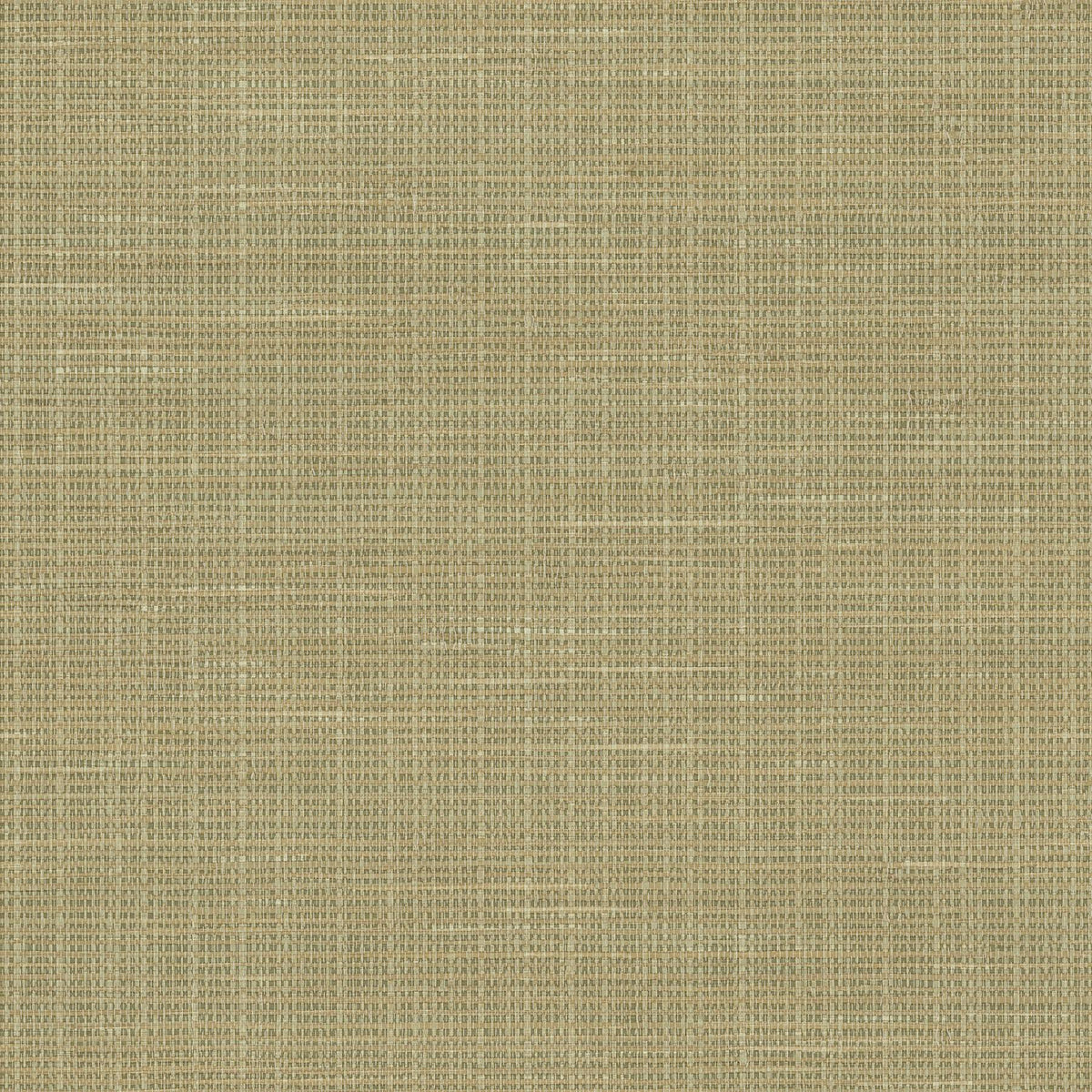 Green Faux Grasscloth Wallpaper E8847
