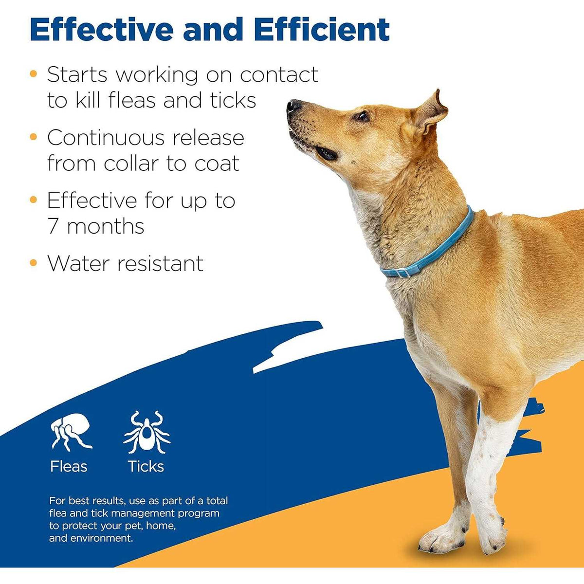 Flea Tick Collar for Dogs E96819