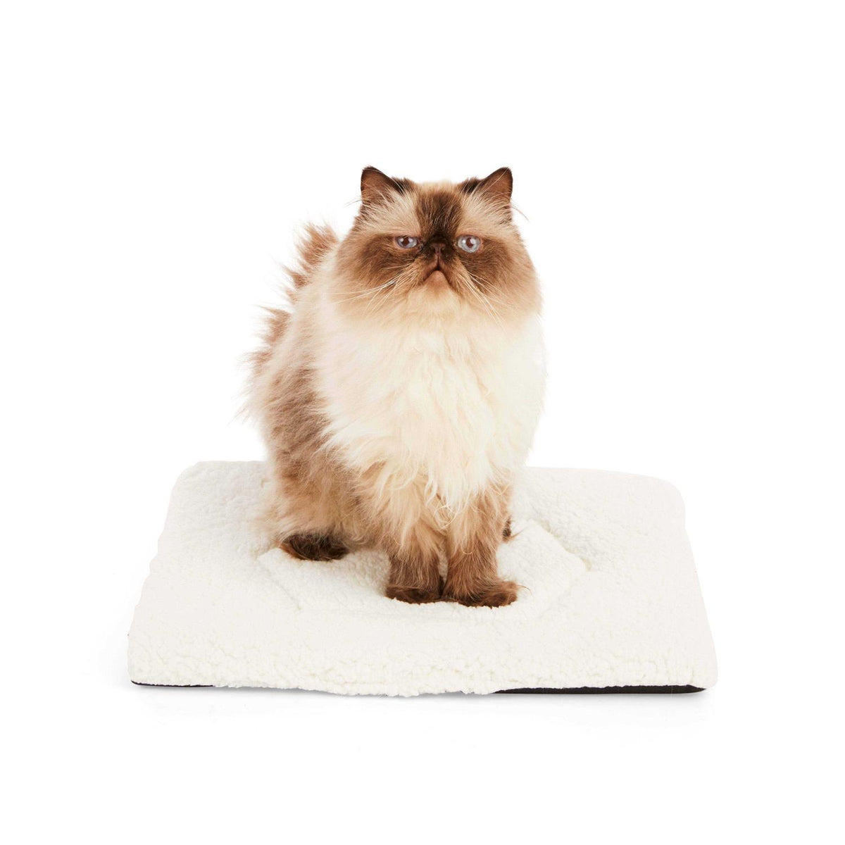 Cream Cozy Cat Mat C5857