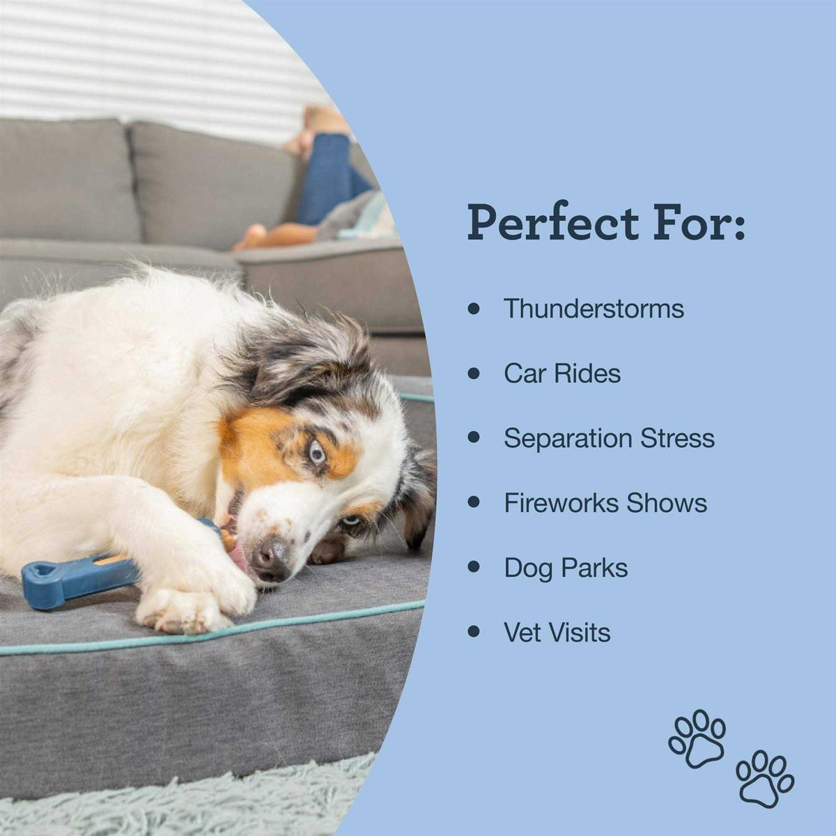 Calming Bone L13918