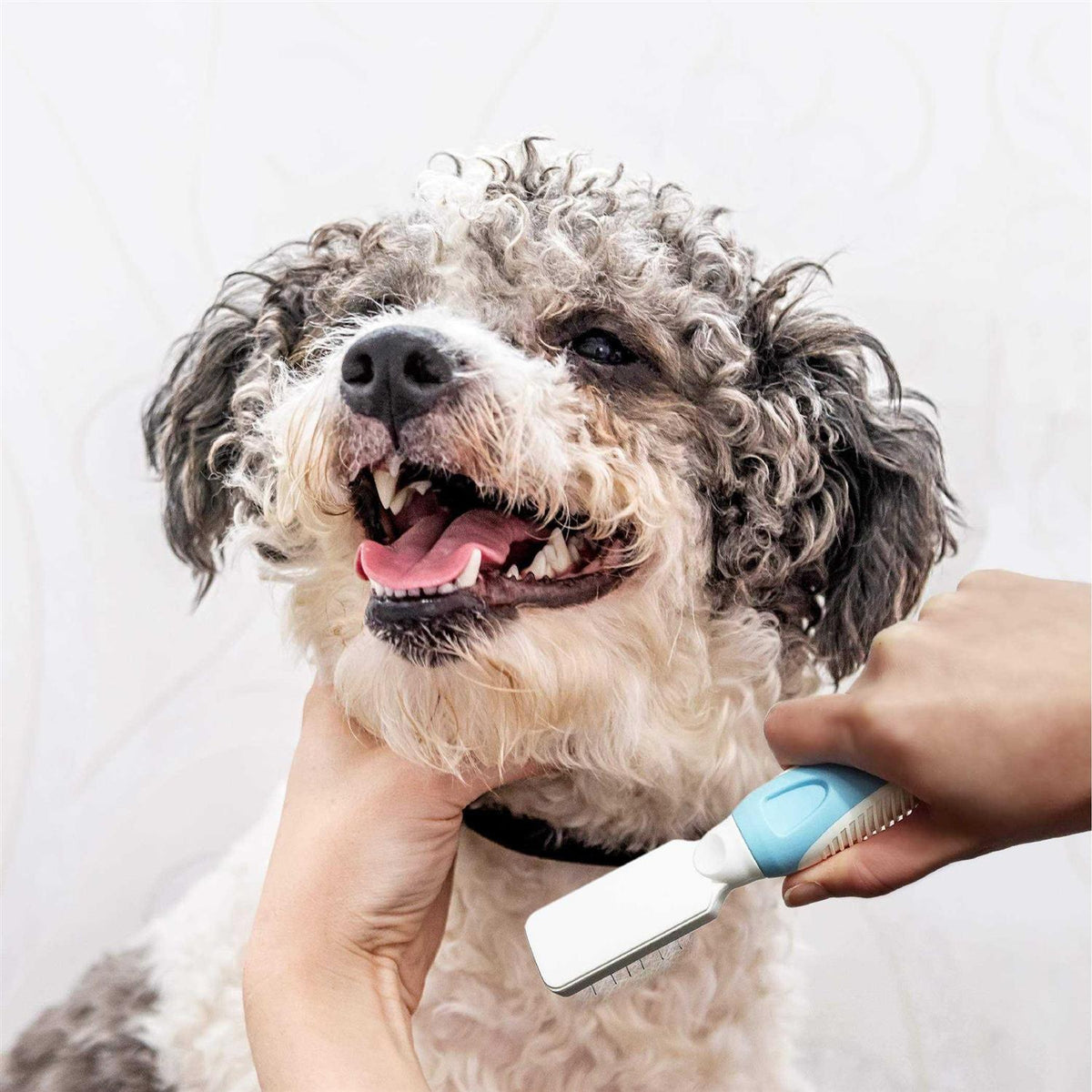 Pet Grooming Dematting Tool N247371