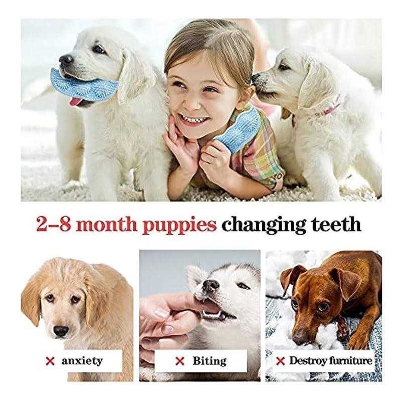 Frozen 3 Pack Puppy Chew Toys G691208
