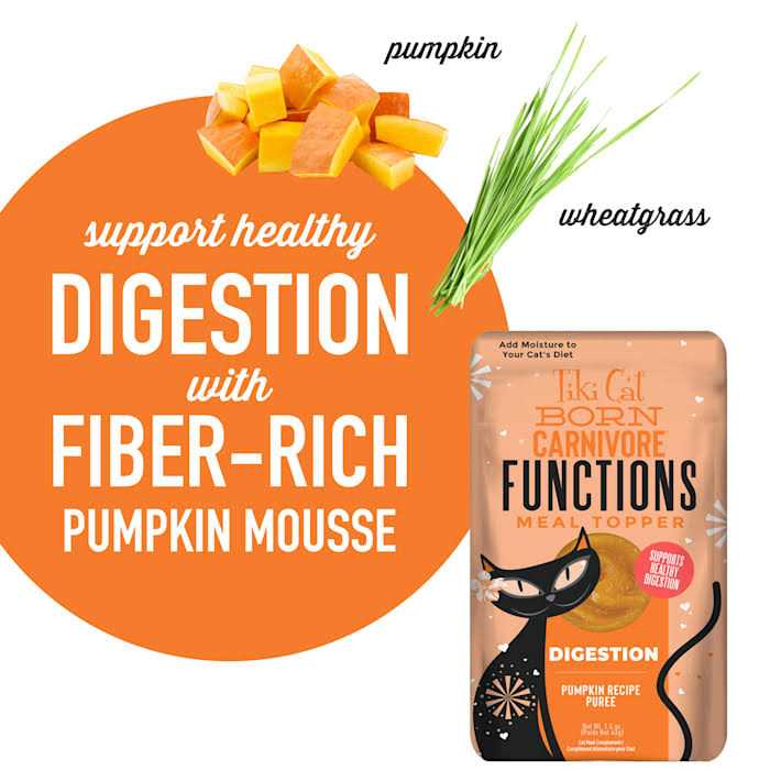 Pumpkin Recipe Puree Meal Topper G24095