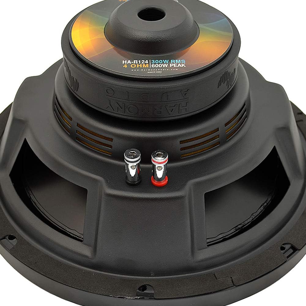 10 Sub 500W Single 4 Ohm Subwoofer N52805