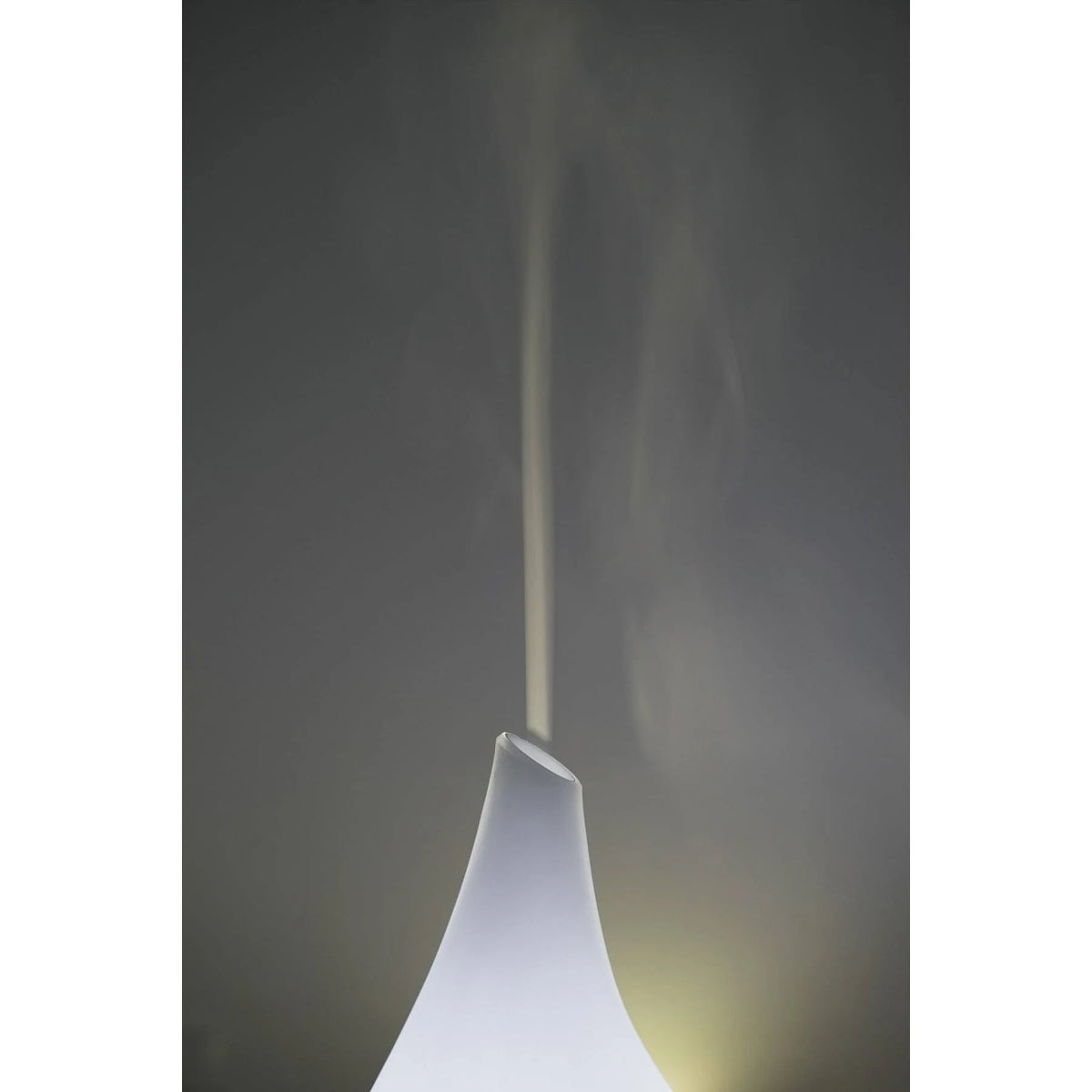 Glass and Bamboo Aroma Diffuser T820316
