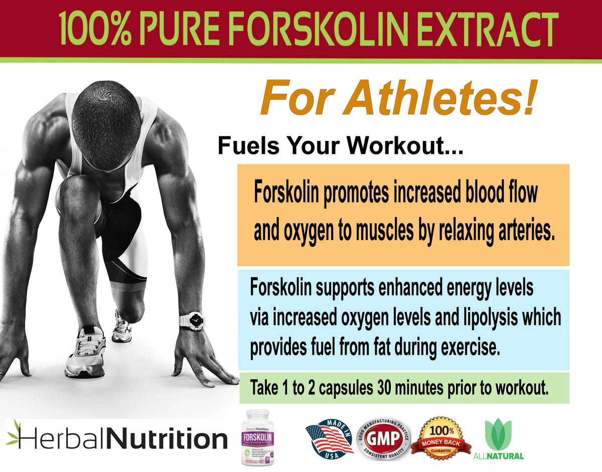 90 Capsules Forskolin Extract Supplement P421526