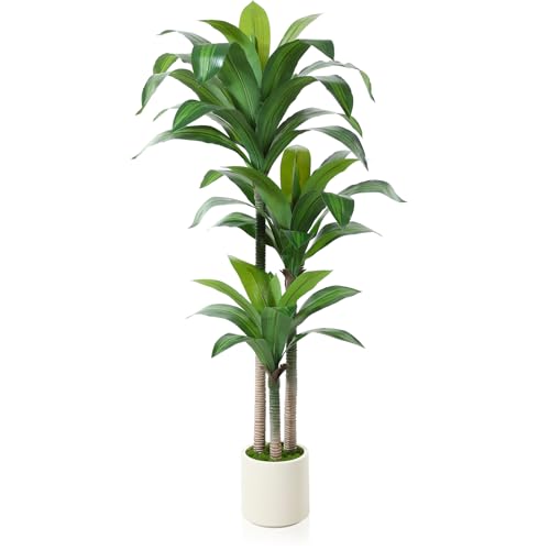 5ft Artificial Dracaena Tree with White Planter M84326