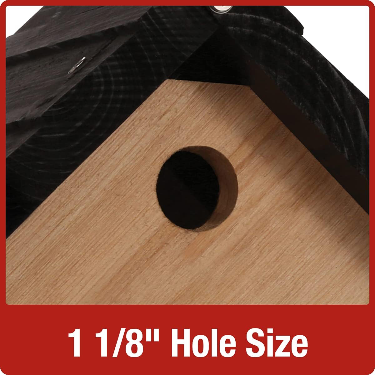 Cedar Wren House E928287
