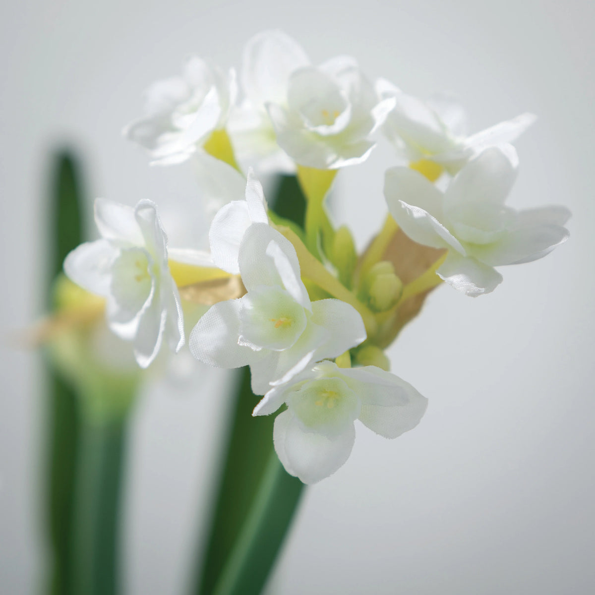 Artificial Paperwhite Stem 20"H White R707375