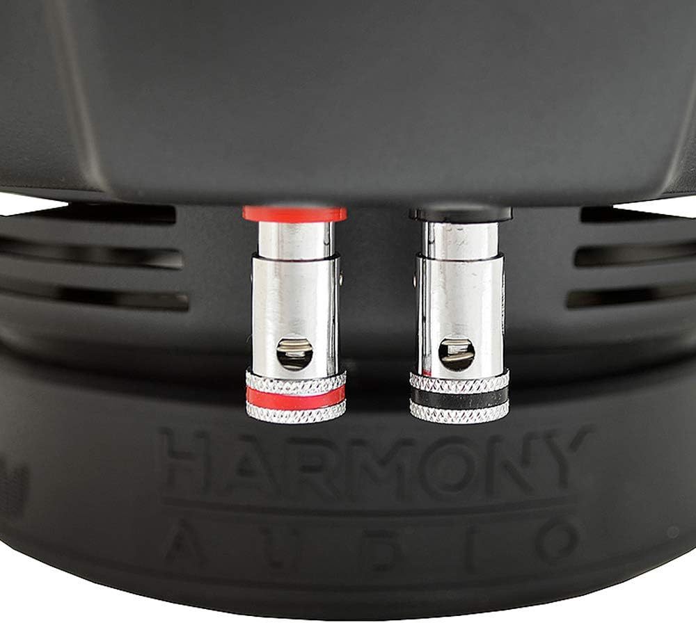 10 Sub 500W Single 4 Ohm Subwoofer N52805