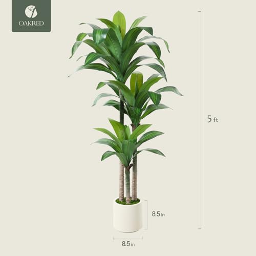 5ft Artificial Dracaena Tree with White Planter M84326
